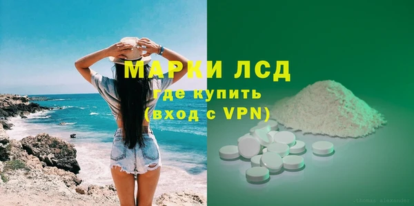 стаф Богданович