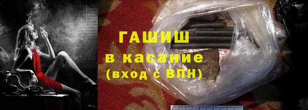 стаф Богданович