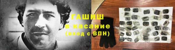 стаф Богданович