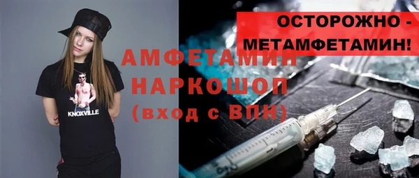 стаф Богданович