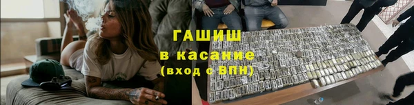 сатива Богородицк