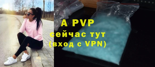 сатива Богородицк