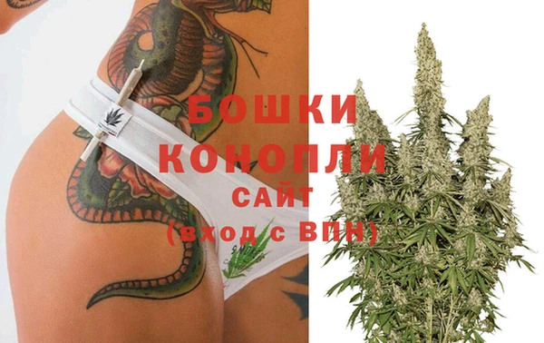 стаф Богданович