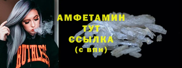 стаф Богданович