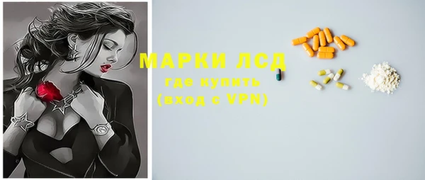 сатива Богородицк