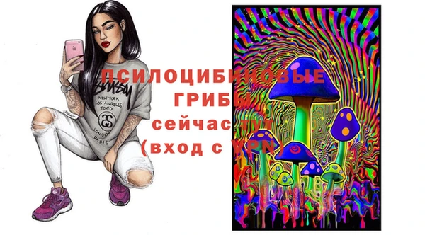 COCAINE Богородск