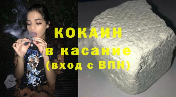стаф Богданович