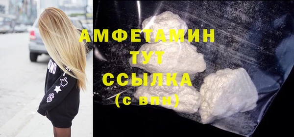 стаф Богданович